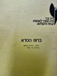 עטיפת הספר ברווז הפרא