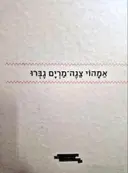 עטיפת הספר אמהוי צגה מרים גברו