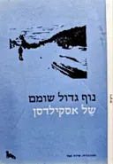 עטיפת הספר נוף גדול שומם