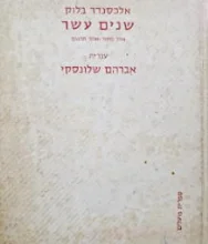 עטיפת הספר שנים עשר אחד מקור ואחד תרגום-דו לשוני רוסית עברית