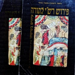 עטיפת הספר פירוש רשי לתורה עיונים בשיטתו-2 כרכים