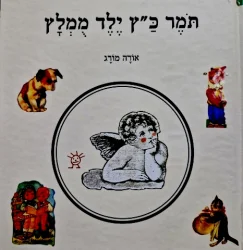 עטיפת הספר תמר כץ ילד ממלץ