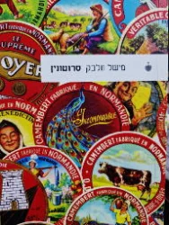 עטיפת הספר סרוטונין