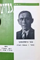 עטיפת הספר ידיעות גנזים 84 צבי וויסלבסקי