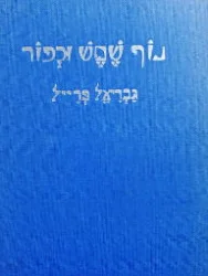 עטיפת הספר נוף שמש וכפור