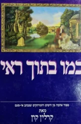 עטיפת הספר כמו בתוך ראי