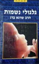 עטיפת הספר גלגולי נשמות