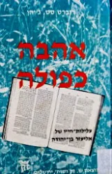 עטיפת הספר אהבה כפולה עלילות חייו של אליעזר בן יהודה