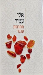עטיפת הספר מחרוזת ענבר