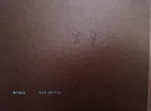עטיפת הספר נורית דוד נופים
