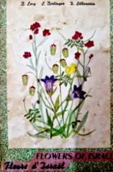 עטיפת הספר flowes of israel