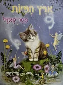 עטיפת הספר ארץ הפיות ספר פאזל