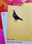 עטיפת הספר נשארתי בשבילכם