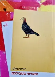 עטיפת הספר נשארתי בשבילכם