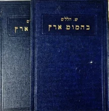 עטיפת הספר בהמוט ארץ-2 כרכים