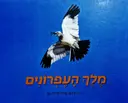 עטיפת הספר מלך העפרונים