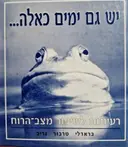 עטיפת הספר יש גם ימים כאלה