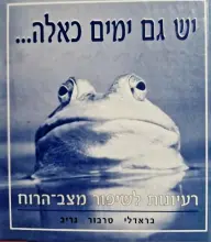 עטיפת הספר יש גם ימים כאלה
