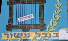 עטיפת הספר בנבל עשור שירון