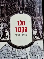 עטיפת הספר הלב הקבור