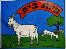עטיפת הספר חיות בית-חוברת צביעה