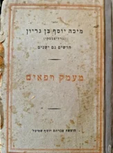 עטיפת הספר כתבי מיכה יוסף בן גריון חדשים וגם ישנים ספורים חלק שני מערכה ב מעמק רפאים