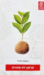 עטיפת הספר קרקע לא מוכרת