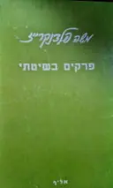 עטיפת הספר פרקים בשיטתי