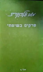 עטיפת הספר פרקים בשיטתי