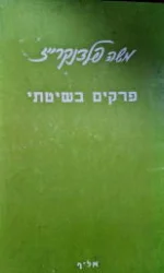 עטיפת הספר פרקים בשיטתי