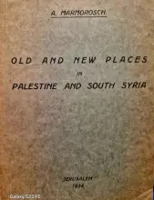 עטיפת הספר old and new palace in palestine and south syria