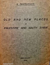 עטיפת הספר old and new palace in palestine and south syria