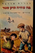 עטיפת הספר מה שהיה תיק סגור