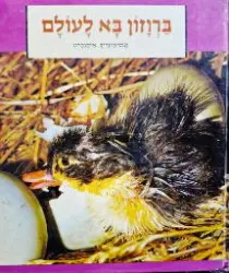 עטיפת הספר ברוזון בא לעולם