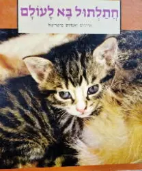 עטיפת הספר חתלתול בא לעולם