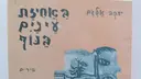 עטיפת הספר באחיזת עינים בנוף