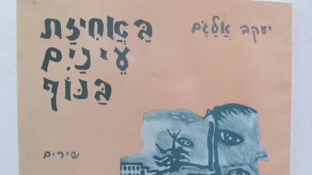 עטיפת הספר באחיזת עינים בנוף