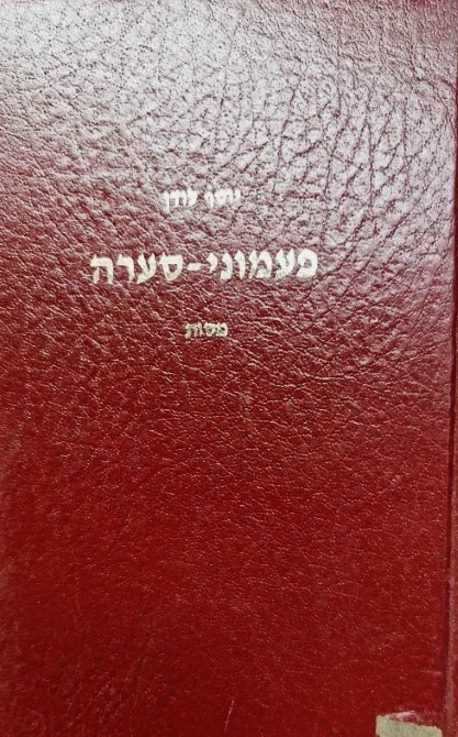 עטיפת הספר פעמוני סערה