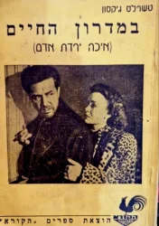 עטיפת הספר במדרון החיים 