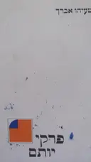 עטיפת הספר פרקי יותם