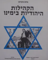 עטיפת הספר הקהילות היהודיות בימינו