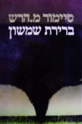 עטיפת הספר ברירת שמשון