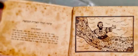 עטיפת הספר שלמה המלך והאדרת המעופפת