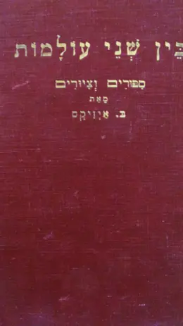 עטיפת הספר בין שני עולמות