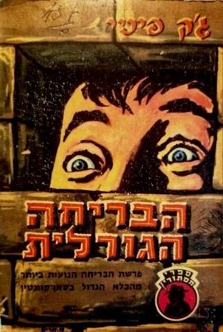 עטיפת הספר הבריחה הגורלית