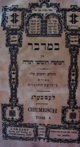 עטיפת הספר מקראות גדולות ספר במדבר