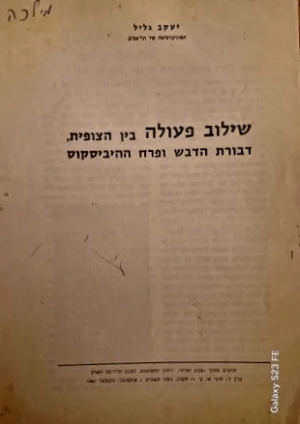 עטיפת הספר שילוב פעולה בין הצופית דבורת הדבש ופרח ההיביסקוס