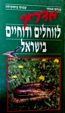 עטיפת הספר מדריך לזוחלים ודוחיים בישראל