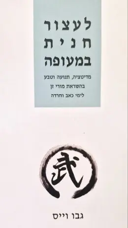 עטיפת הספר לעצור חנית במעופה