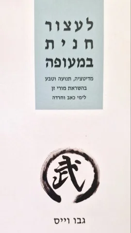 עטיפת הספר לעצור חנית במעופה